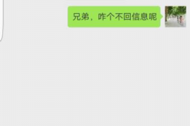 怀来为什么选择专业追讨公司来处理您的债务纠纷？